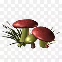 香菇红菇