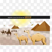 撒哈拉沙漠景观剪贴画-沙漠