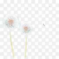 花瓣图案-蒲公英