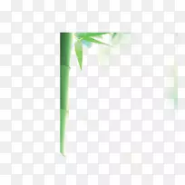 角纹竹