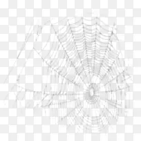 蜘蛛网绘图.卡通蜘蛛网彩绘材料