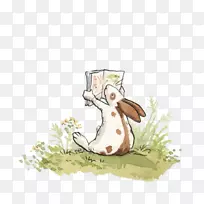 猜猜我有多爱你书插图插画兔子