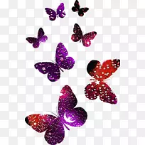 蝴蝶标志-抽象彩色蝴蝶图案