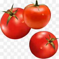 汉堡番茄蔬菜番茄酱-番茄蔬菜材料