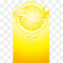 橙汁下载-橙汁