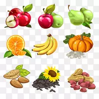 坚果卡通水果插图-香蕉、苹果、梨、桔子、南瓜、葵花籽生