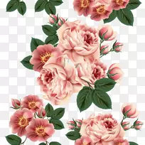 昆虫夏草玫瑰花卉设计图案-令人惊叹的绘画植物