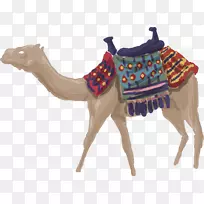 计算机文件.绘制的骆驼