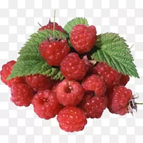 覆盆子红桑果草莓-三维图