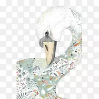 黑天鹅卡通插图-手绘天鹅