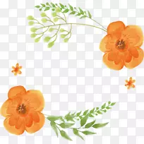 水彩：花橙色水彩画-橙色水彩画标题框