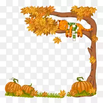 秋季摄影树-秋季树