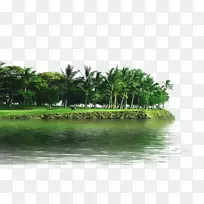 达克什联系抵押贷款-森林