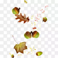 秋季剪贴画-紫锥菊音符