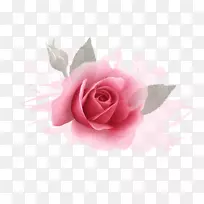 婚礼邀请函玫瑰摄影花-粉红色玫瑰花