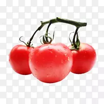 番茄汁蔬菜罐头番茄提取物-番茄夹