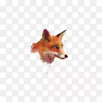 水彩画软件-狐狸头