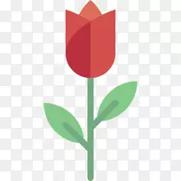 英迪拉甘地纪念郁金香花园什里夫波特平原面朝下郁金香玫瑰