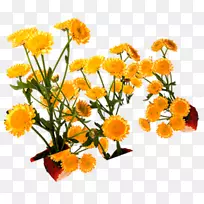 花型：黄花，菊花，黄色，花边。