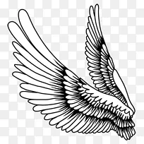 画鸟羽毛-创意羽毛翅膀，卡通画翅膀