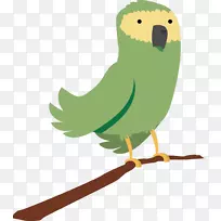 鹦鹉鸟鹦鹉手绘绿色鹦鹉