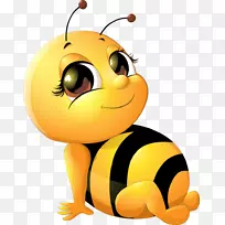 冠狗养蜂艺术-肚皮蜜蜂