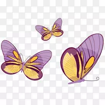 蝴蝶和飞蛾-紫色卡通蝴蝶