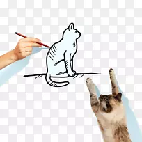 暹罗猫食图-手绘小猫