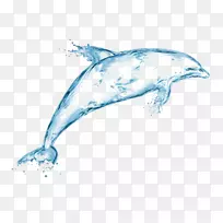 水滴喷水创意画-海豚喷雾器