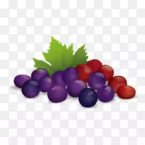 果汁水果插图-葡萄