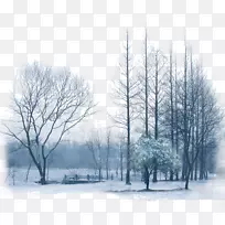 暴雪娱乐电脑壁纸树