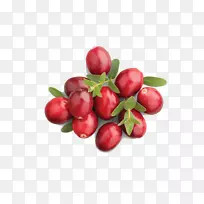 巴巴多斯樱桃有机食品蔓越莓汁苹果汁-枣