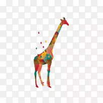 北方长颈鹿图形设计插图.彩色几何长颈鹿