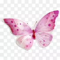 蝴蝶剪贴画-粉红色蝴蝶