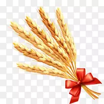 小麦穗粒剪贴画-小麦