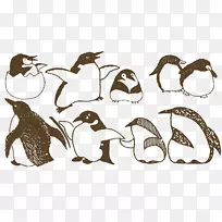 企鹅绘画插图-很多企鹅
