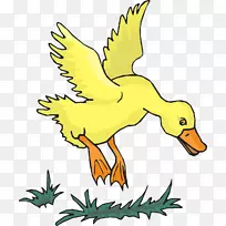 飞机飞行野鸭直升机剪贴画黄色鸭子飞行