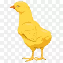 野鸡炸鸡水牛翼鸡
