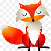 水彩画签名书插图-手绘白胡子狐狸