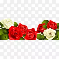 祝你生日快乐，玫瑰贺卡涂红白玫瑰绿叶