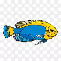 淡水鱼观赏鱼剪贴画.鱼种蓝观赏鱼