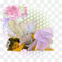 花园里的地址：玫瑰花宝宝亚马逊网站上有爱精灵仙女的小想法