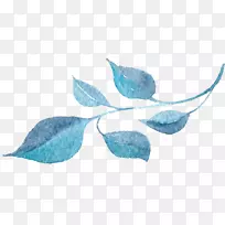 水彩画花蓝-透明背景花卉植物水彩花