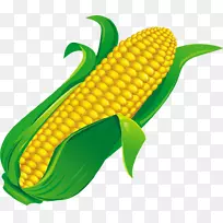 玉米玉米芯玉米食品配料-玉米