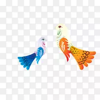 鸟类卡通-美丽的彩色孔雀图案