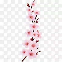 粉红花卉插花-樱花设计