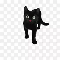 波斯猫黑猫-黑猫红鼻子