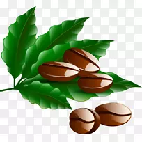 咖啡豆Kopi luwak-咖啡豆