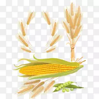 小麦玉米谷类欧式载体小麦玉米