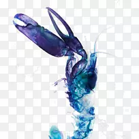 水彩画拉戈斯塔蓝-蓝龙虾